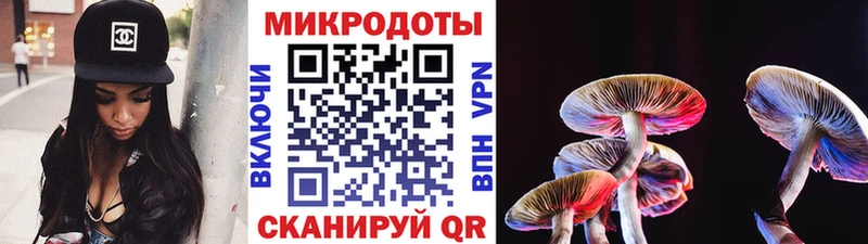Псилоцибиновые грибы GOLDEN TEACHER нарко площадка какой сайт Губкинский