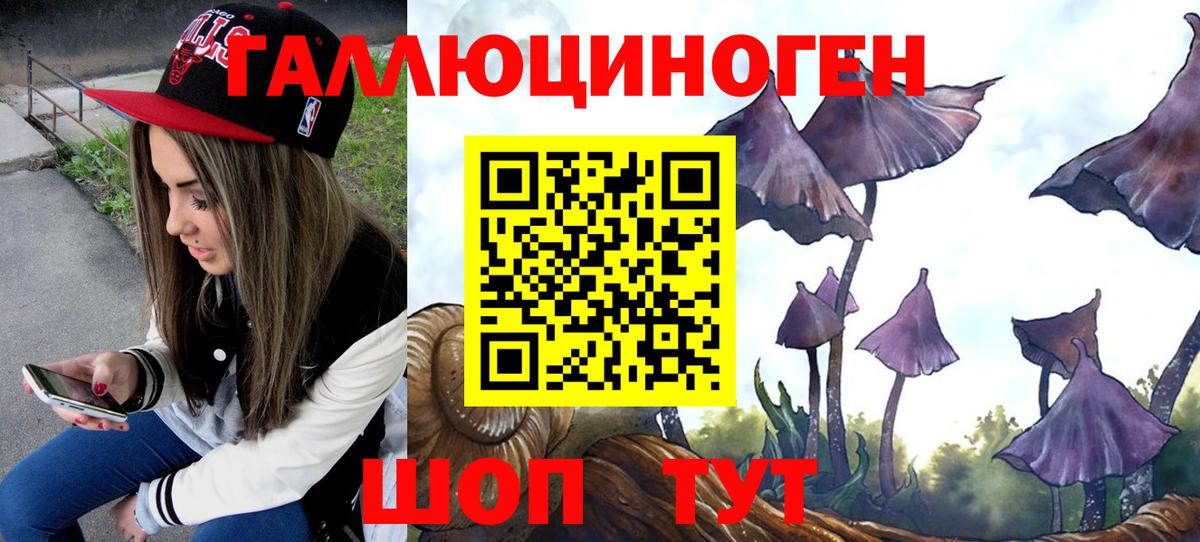 Галлюциногенные грибы ЛСД Губкинский