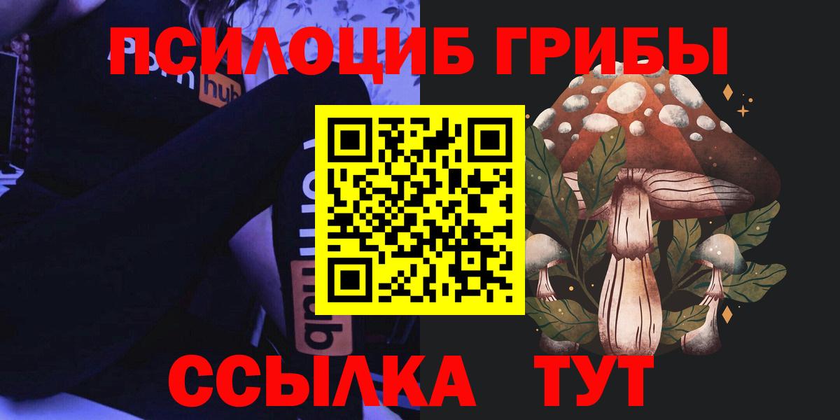 Псилоцибиновые грибы Cubensis  магазин    Вход с VPN  Губкинский  Псилоцибиновые грибы Cubensis 